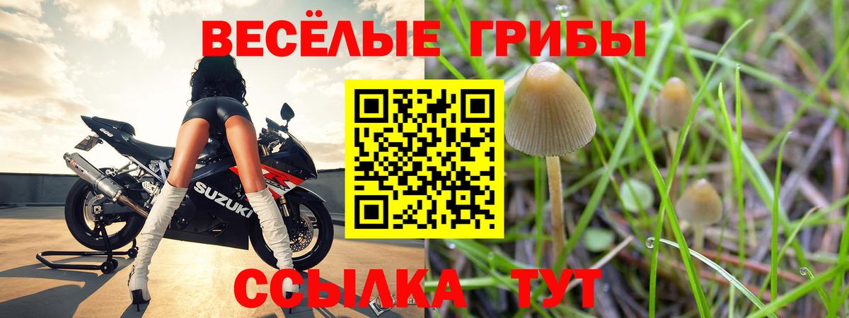 Псилоцибиновые грибы прущие грибы Электрогорск
